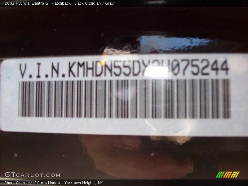 Black Obsidian / Gray 2003 Hyundai Elantra GT Hatchback