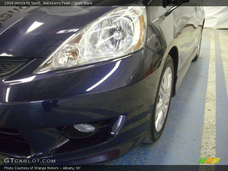 Blackberry Pearl / Sport Black 2009 Honda Fit Sport