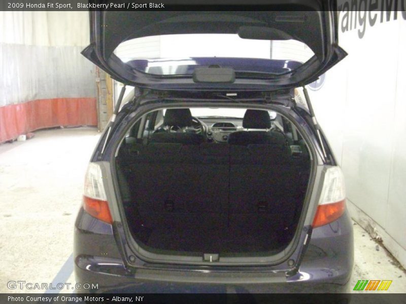 Blackberry Pearl / Sport Black 2009 Honda Fit Sport