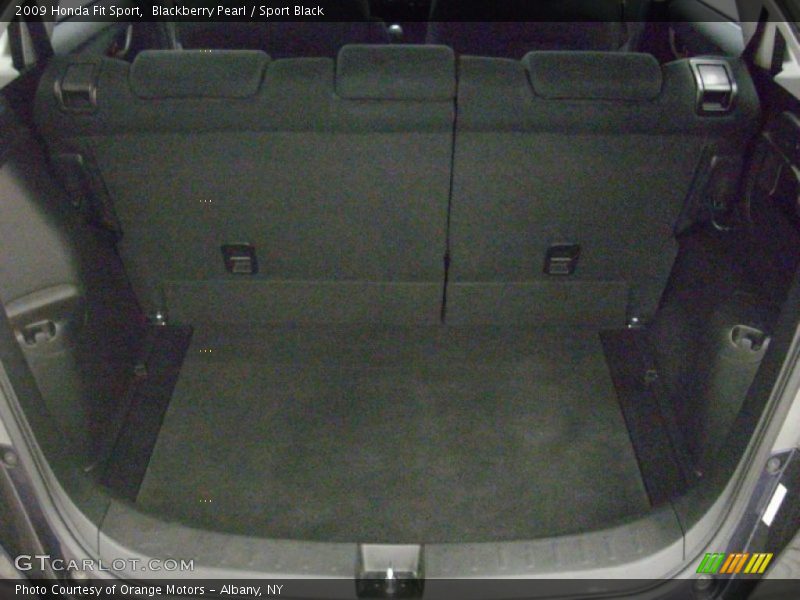 Blackberry Pearl / Sport Black 2009 Honda Fit Sport