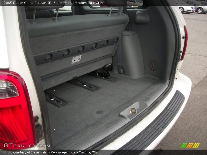 Stone White / Medium Slate Gray 2005 Dodge Grand Caravan SE