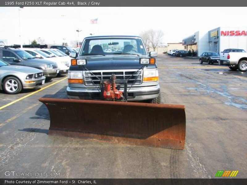 Black / Grey 1995 Ford F250 XLT Regular Cab 4x4