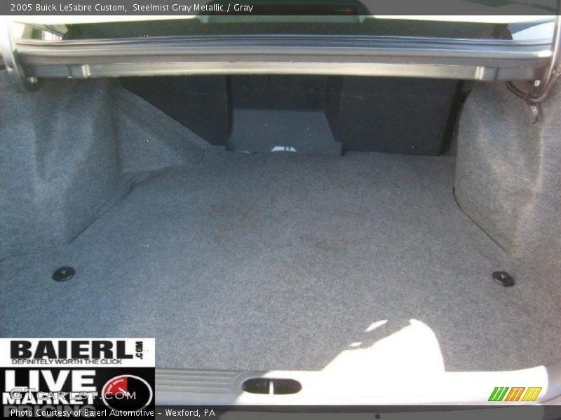 Steelmist Gray Metallic / Gray 2005 Buick LeSabre Custom