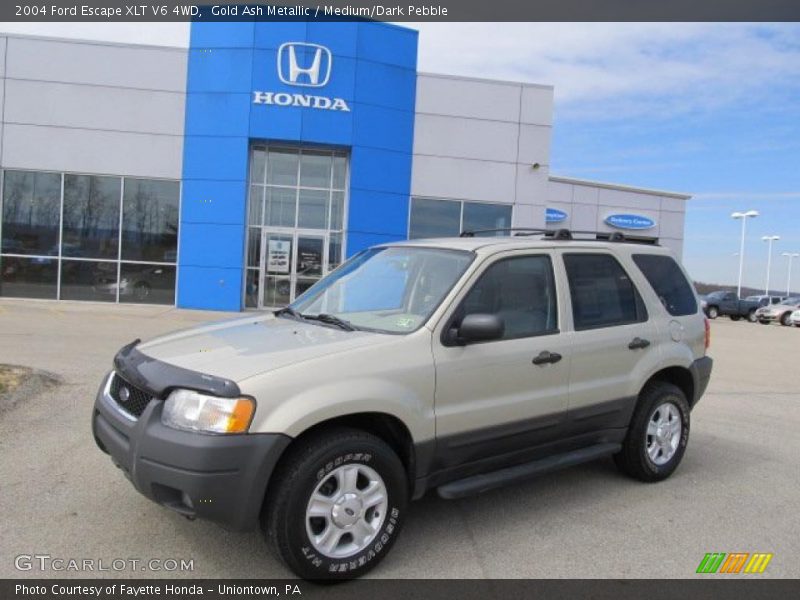 Gold Ash Metallic / Medium/Dark Pebble 2004 Ford Escape XLT V6 4WD