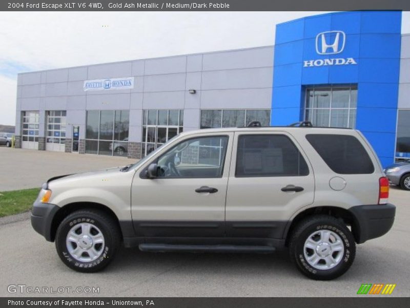 Gold Ash Metallic / Medium/Dark Pebble 2004 Ford Escape XLT V6 4WD
