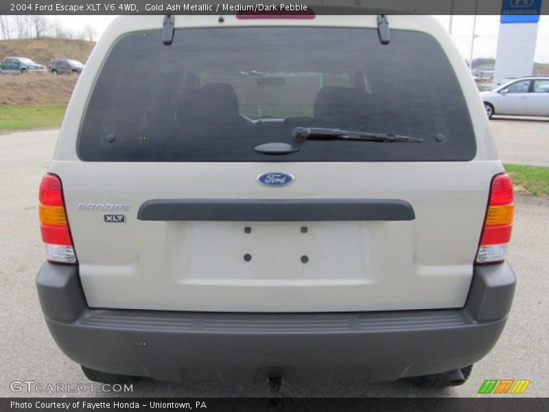 Gold Ash Metallic / Medium/Dark Pebble 2004 Ford Escape XLT V6 4WD