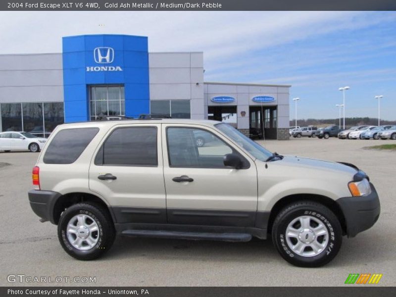 Gold Ash Metallic / Medium/Dark Pebble 2004 Ford Escape XLT V6 4WD