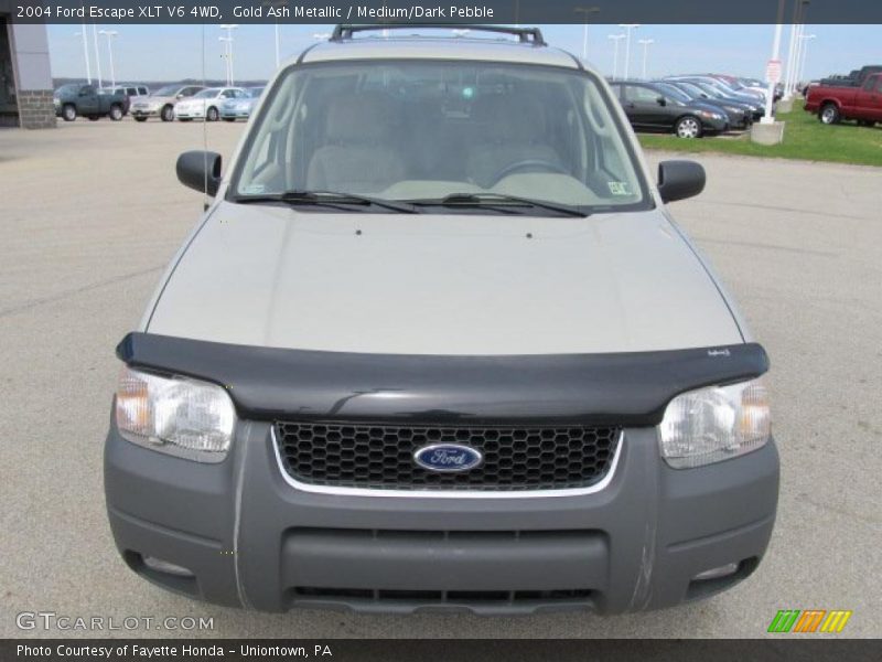 Gold Ash Metallic / Medium/Dark Pebble 2004 Ford Escape XLT V6 4WD