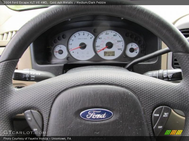 Gold Ash Metallic / Medium/Dark Pebble 2004 Ford Escape XLT V6 4WD