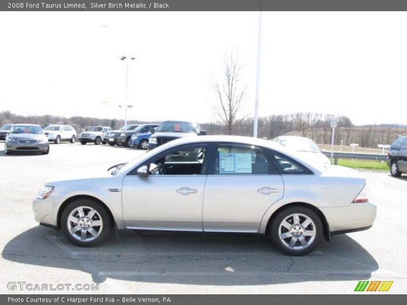 Silver Birch Metallic / Black 2008 Ford Taurus Limited
