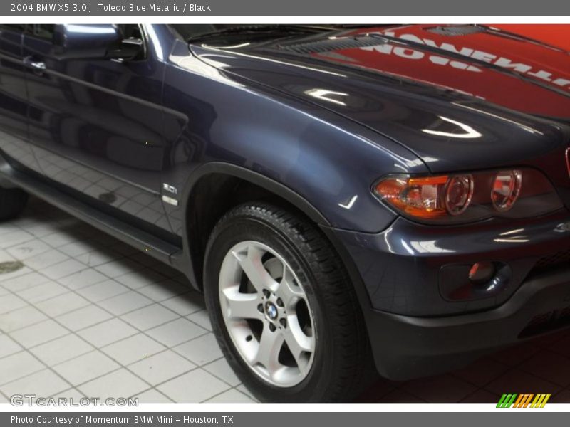Toledo Blue Metallic / Black 2004 BMW X5 3.0i