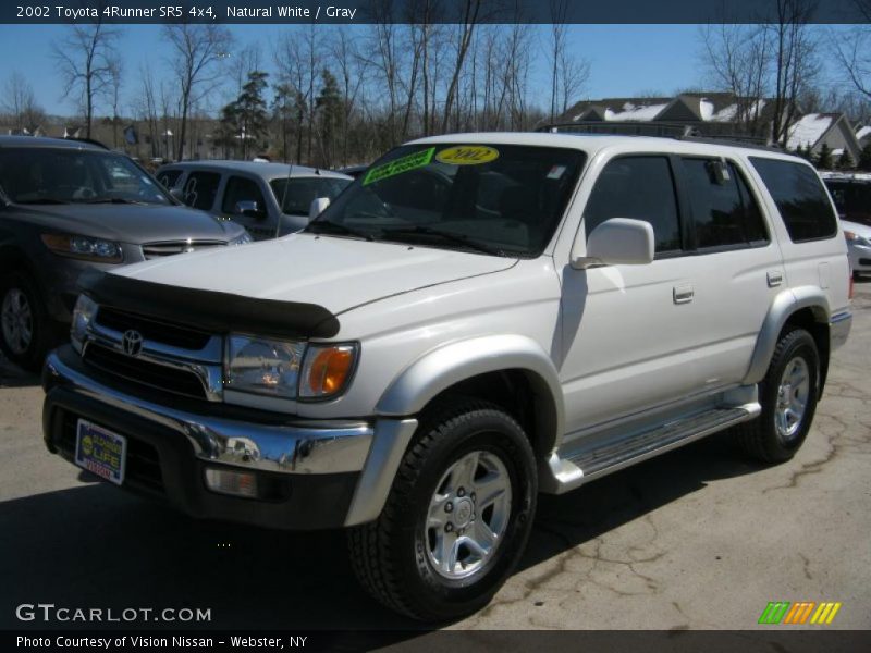 Natural White / Gray 2002 Toyota 4Runner SR5 4x4