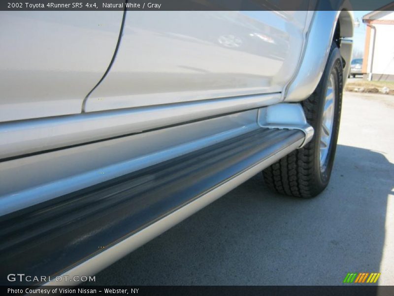 Natural White / Gray 2002 Toyota 4Runner SR5 4x4