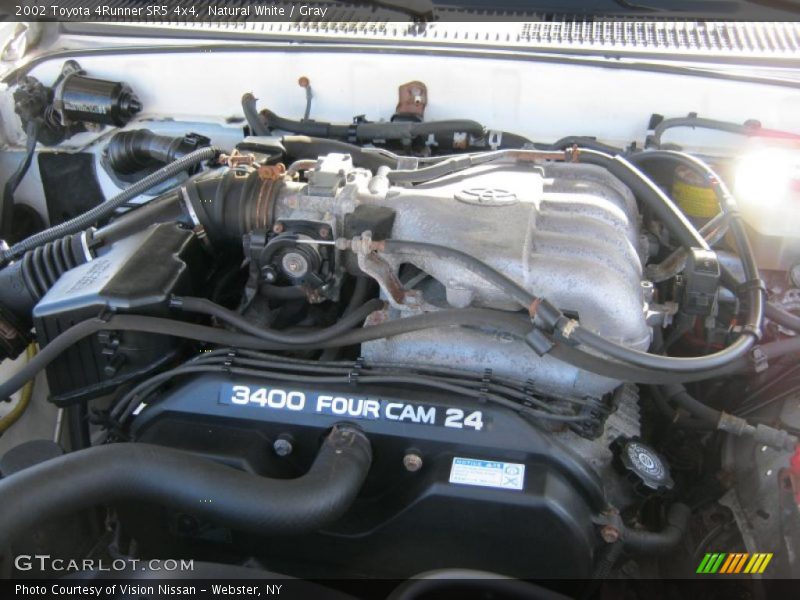 Natural White / Gray 2002 Toyota 4Runner SR5 4x4
