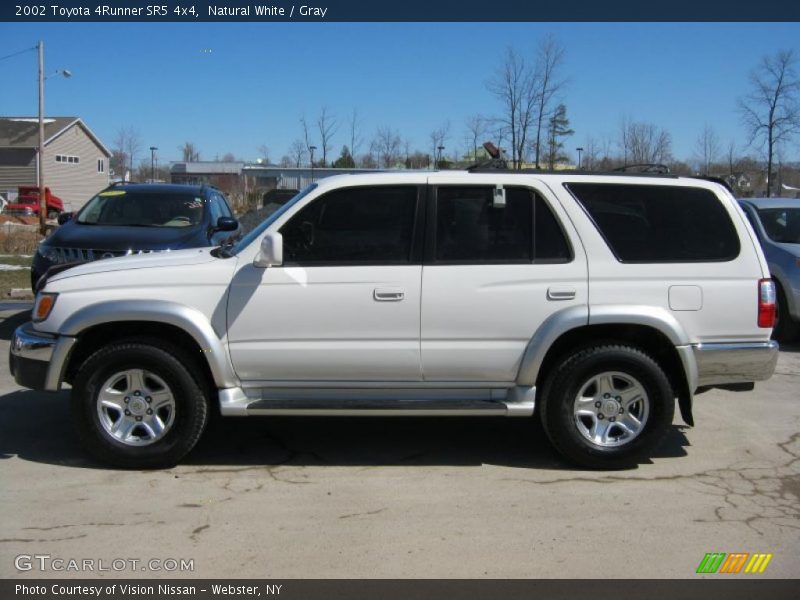 Natural White / Gray 2002 Toyota 4Runner SR5 4x4