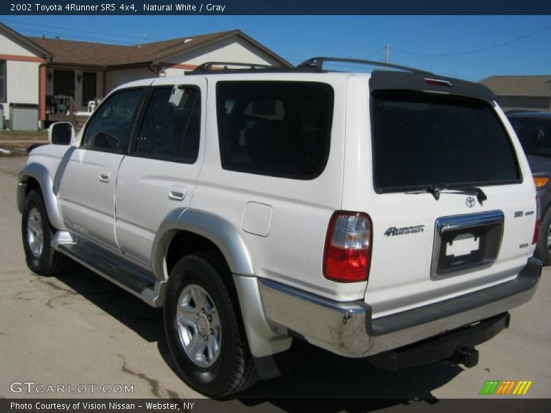 Natural White / Gray 2002 Toyota 4Runner SR5 4x4