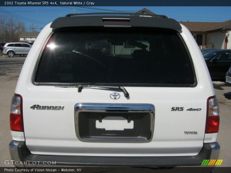 Natural White / Gray 2002 Toyota 4Runner SR5 4x4