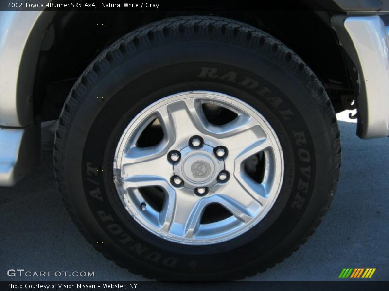 Natural White / Gray 2002 Toyota 4Runner SR5 4x4