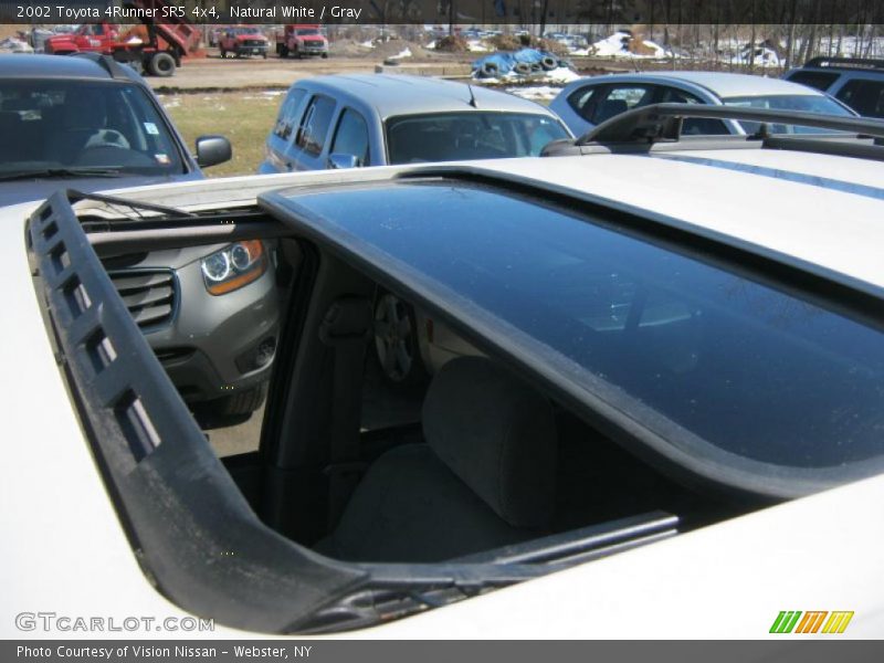 Natural White / Gray 2002 Toyota 4Runner SR5 4x4