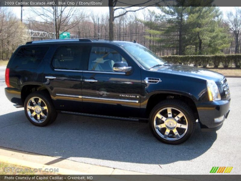 Blue Chip / Ebony/Ebony 2009 Cadillac Escalade AWD