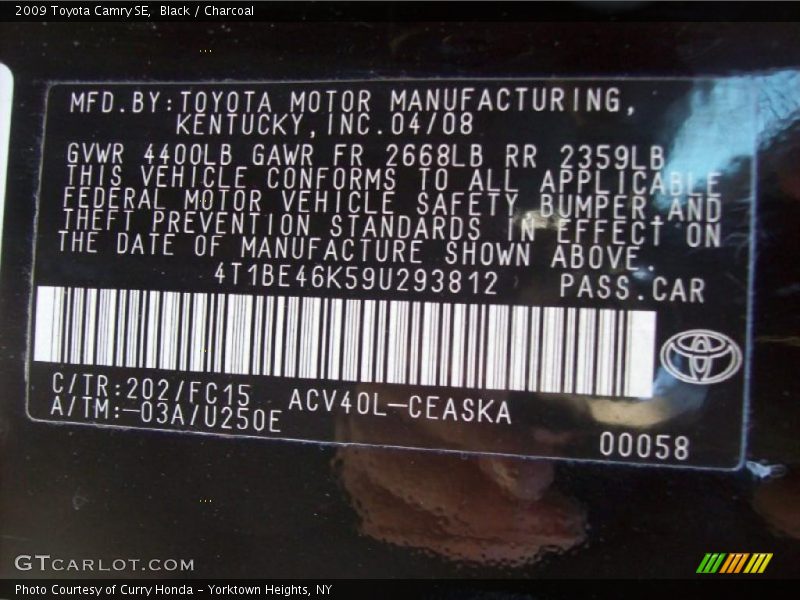 Black / Charcoal 2009 Toyota Camry SE