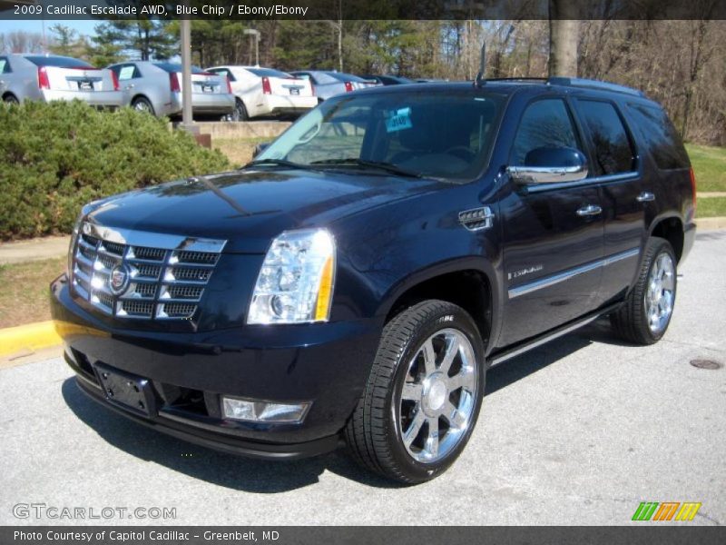 Blue Chip / Ebony/Ebony 2009 Cadillac Escalade AWD