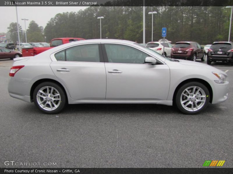 Brilliant Silver / Charcoal 2011 Nissan Maxima 3.5 SV
