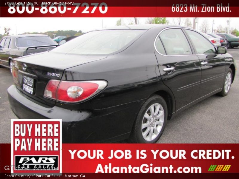 Black Onyx / Ivory 2003 Lexus ES 300