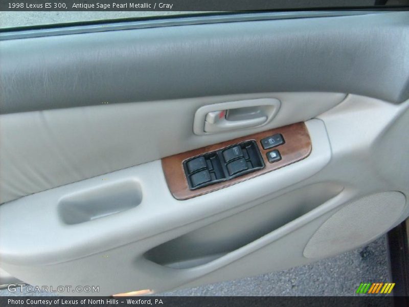 Antique Sage Pearl Metallic / Gray 1998 Lexus ES 300