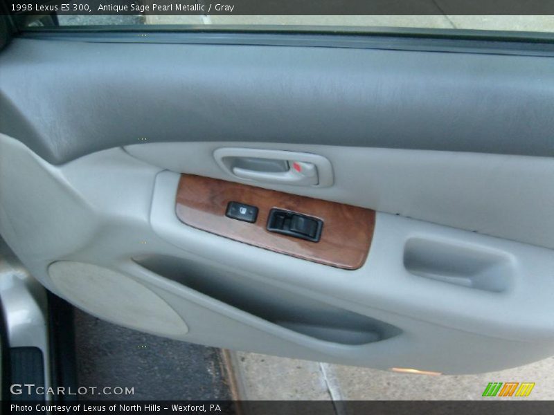 Antique Sage Pearl Metallic / Gray 1998 Lexus ES 300