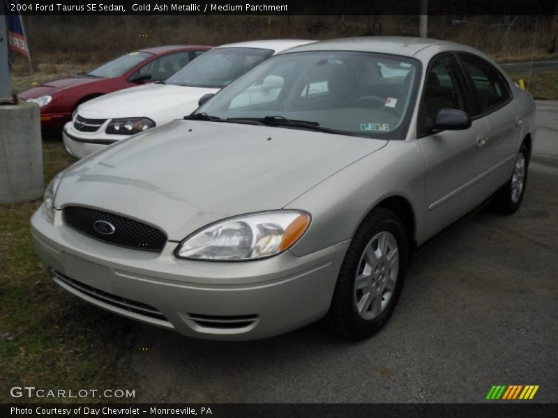 Gold Ash Metallic / Medium Parchment 2004 Ford Taurus SE Sedan