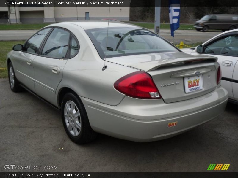 Gold Ash Metallic / Medium Parchment 2004 Ford Taurus SE Sedan