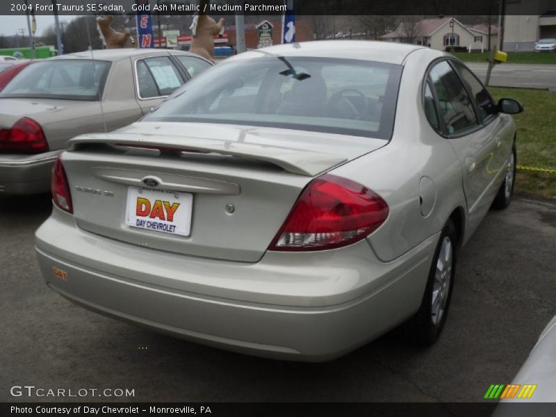 Gold Ash Metallic / Medium Parchment 2004 Ford Taurus SE Sedan