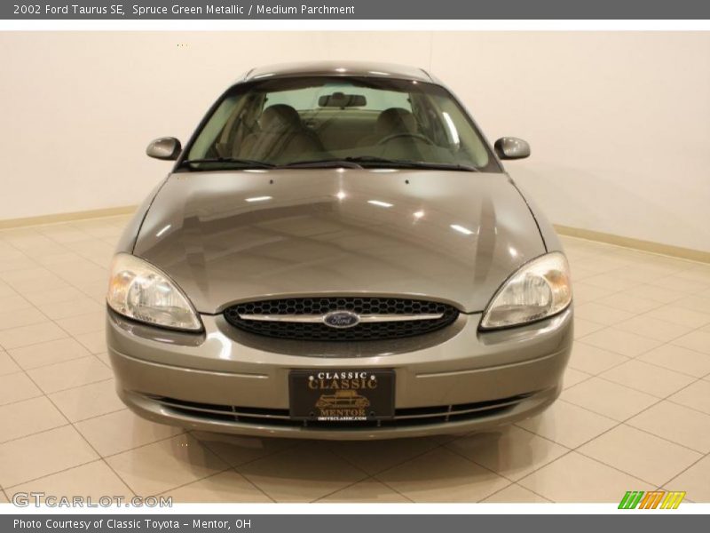 Spruce Green Metallic / Medium Parchment 2002 Ford Taurus SE
