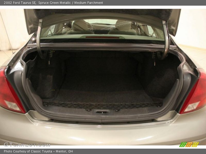 Spruce Green Metallic / Medium Parchment 2002 Ford Taurus SE