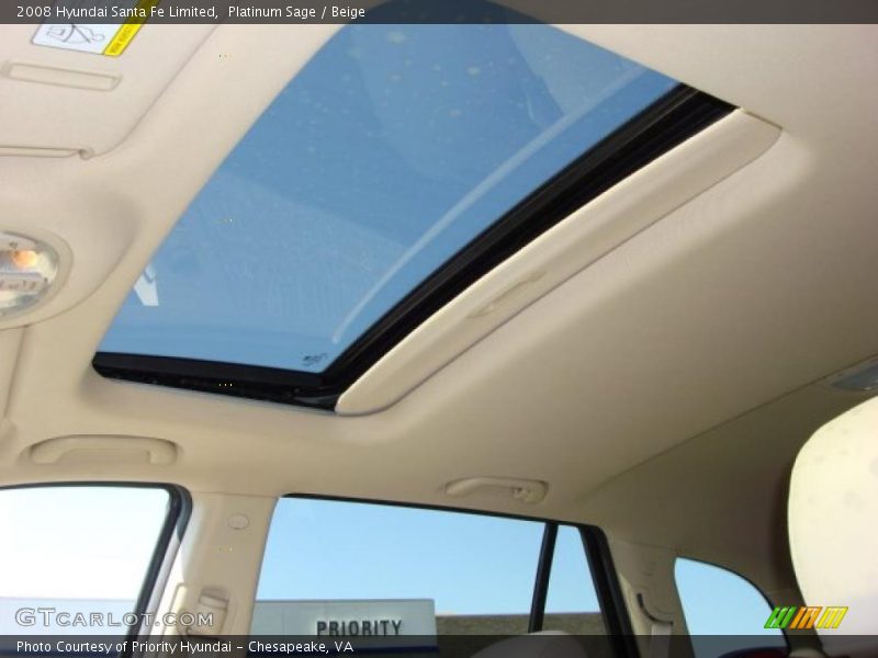 Platinum Sage / Beige 2008 Hyundai Santa Fe Limited
