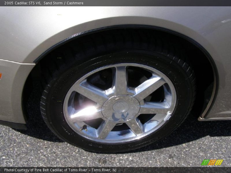Sand Storm / Cashmere 2005 Cadillac STS V6