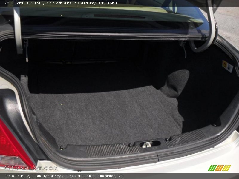 Gold Ash Metallic / Medium/Dark Pebble 2007 Ford Taurus SEL
