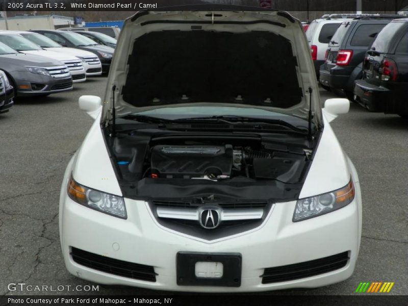 White Diamond Pearl / Camel 2005 Acura TL 3.2