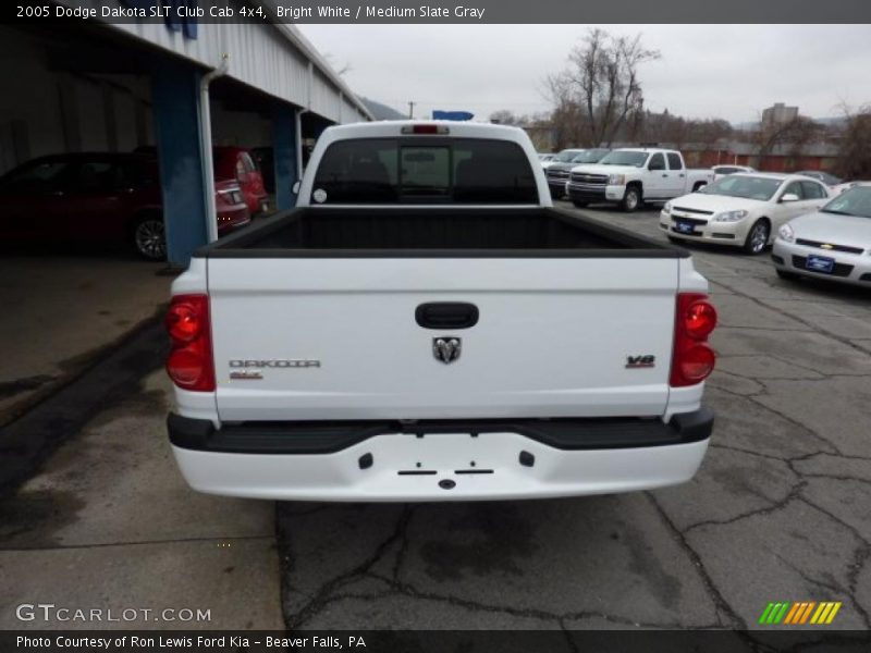 Bright White / Medium Slate Gray 2005 Dodge Dakota SLT Club Cab 4x4