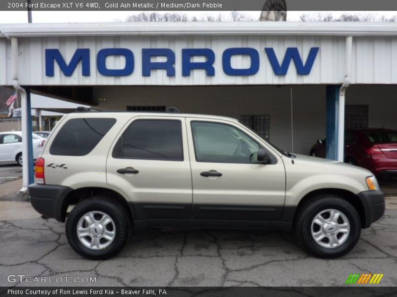 Gold Ash Metallic / Medium/Dark Pebble 2004 Ford Escape XLT V6 4WD