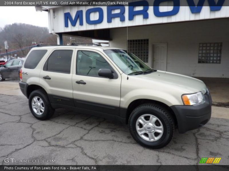 Gold Ash Metallic / Medium/Dark Pebble 2004 Ford Escape XLT V6 4WD