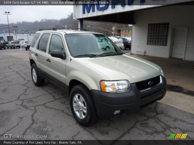 Gold Ash Metallic / Medium/Dark Pebble 2004 Ford Escape XLT V6 4WD