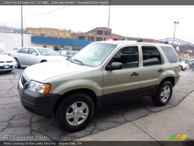 Gold Ash Metallic / Medium/Dark Pebble 2004 Ford Escape XLT V6 4WD