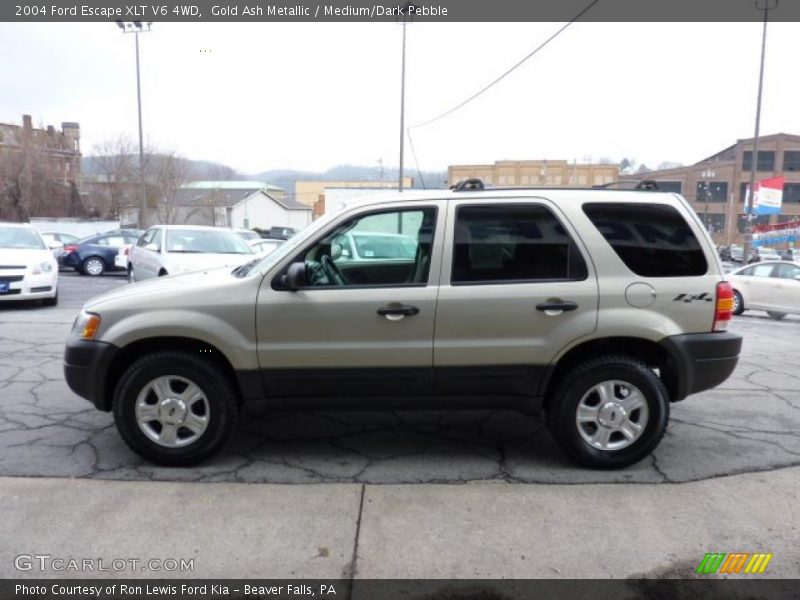 Gold Ash Metallic / Medium/Dark Pebble 2004 Ford Escape XLT V6 4WD