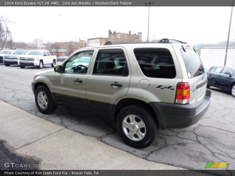 Gold Ash Metallic / Medium/Dark Pebble 2004 Ford Escape XLT V6 4WD