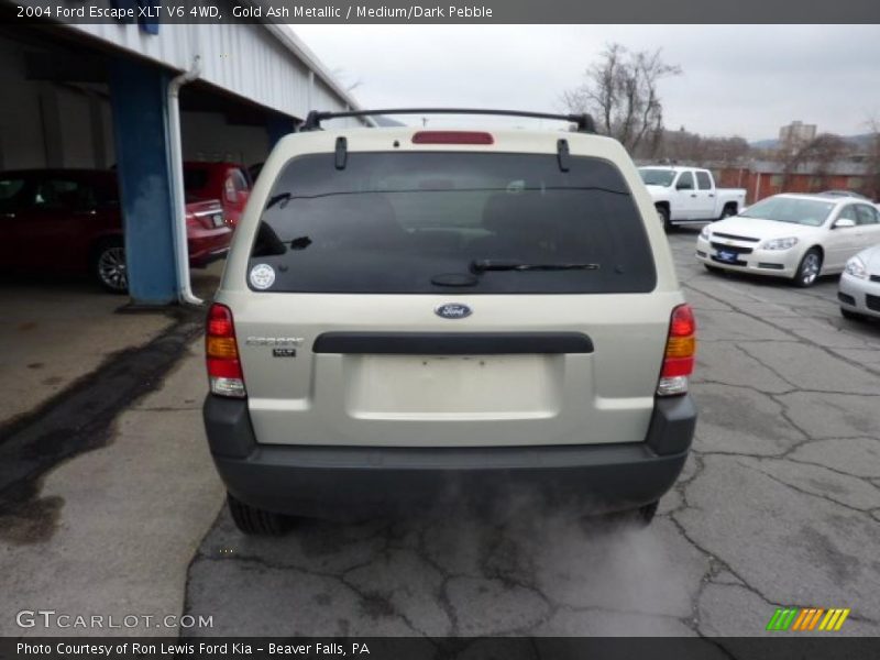Gold Ash Metallic / Medium/Dark Pebble 2004 Ford Escape XLT V6 4WD