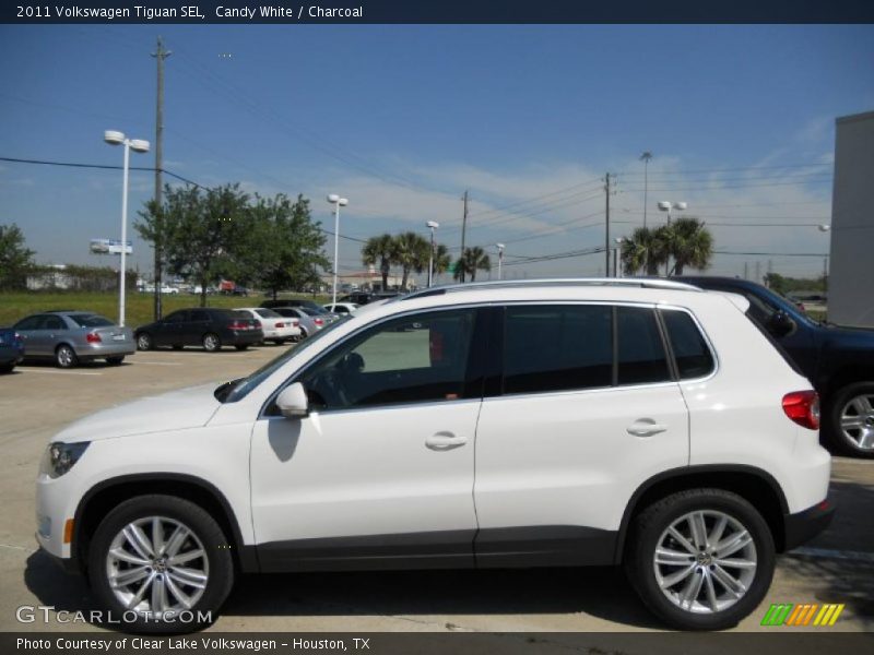  2011 Tiguan SEL Candy White