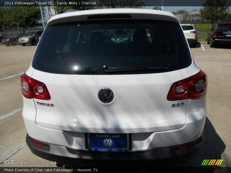 Candy White / Charcoal 2011 Volkswagen Tiguan SEL