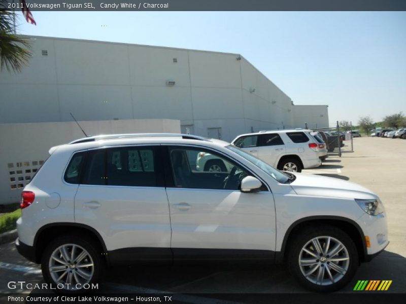 Candy White / Charcoal 2011 Volkswagen Tiguan SEL